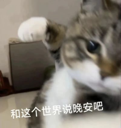 台球比赛视频下载