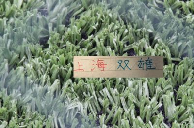 正式到位！NBL强力内线加盟广东队，这可是加强版王少杰！