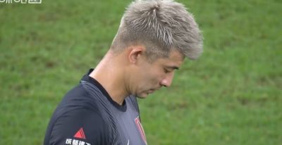 龙珠直播软件免费下载