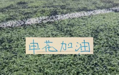 迪拜国民 vs 加拉法