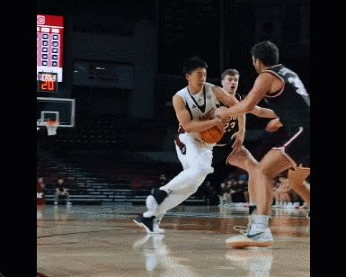 WNBA季后赛半决赛1