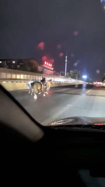 还在求职！奥拉迪波：和热火联系过渴望为任何欣赏我的球队效力