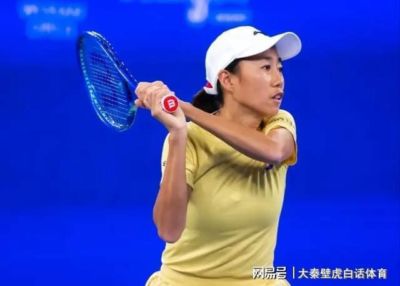 旧版球探网足球场比下载