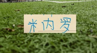 世界杯场均跑动距离榜：亚洲球员前二，麦克托米奈第4、恰20第7