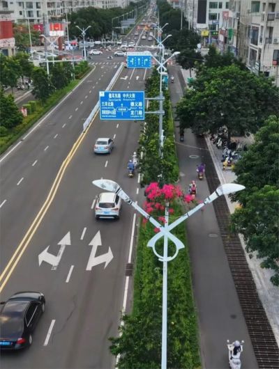 蜘蛛nba直播免费观看