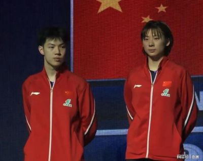 17体育免费直播入口