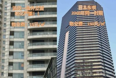 字母哥阿德巴约开始合练！一同观战WNBA热火夺冠前景不被看好