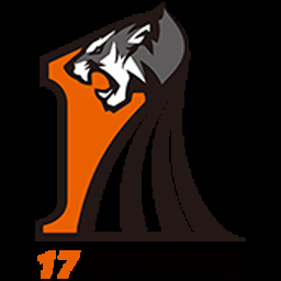 17
