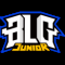  BLG.J
